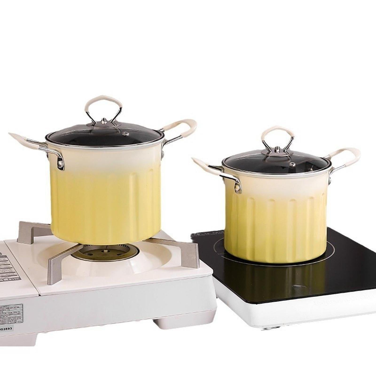 Deep Fryer Pot with Frying Basket Oil Strainer Basket for Chips Boiling Home