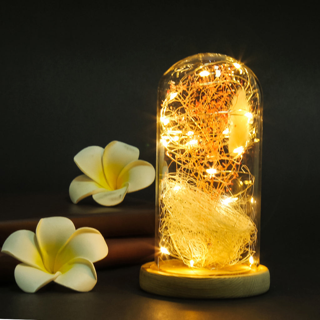 Dried Flower Glass Dome Lamp LED Night Light String Table Lamp Colourful
