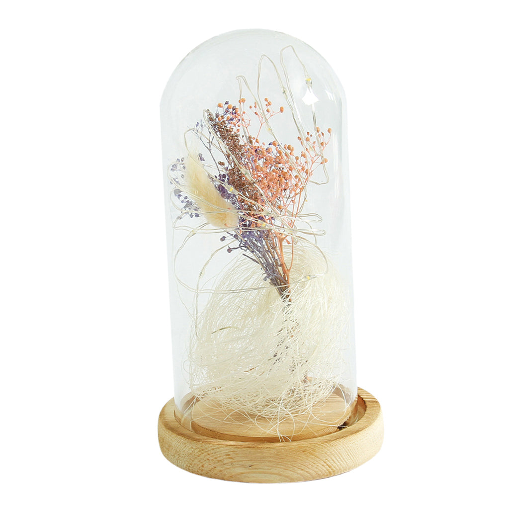 Dried Flower Glass Dome Lamp LED Night Light String Table Lamp Colourful