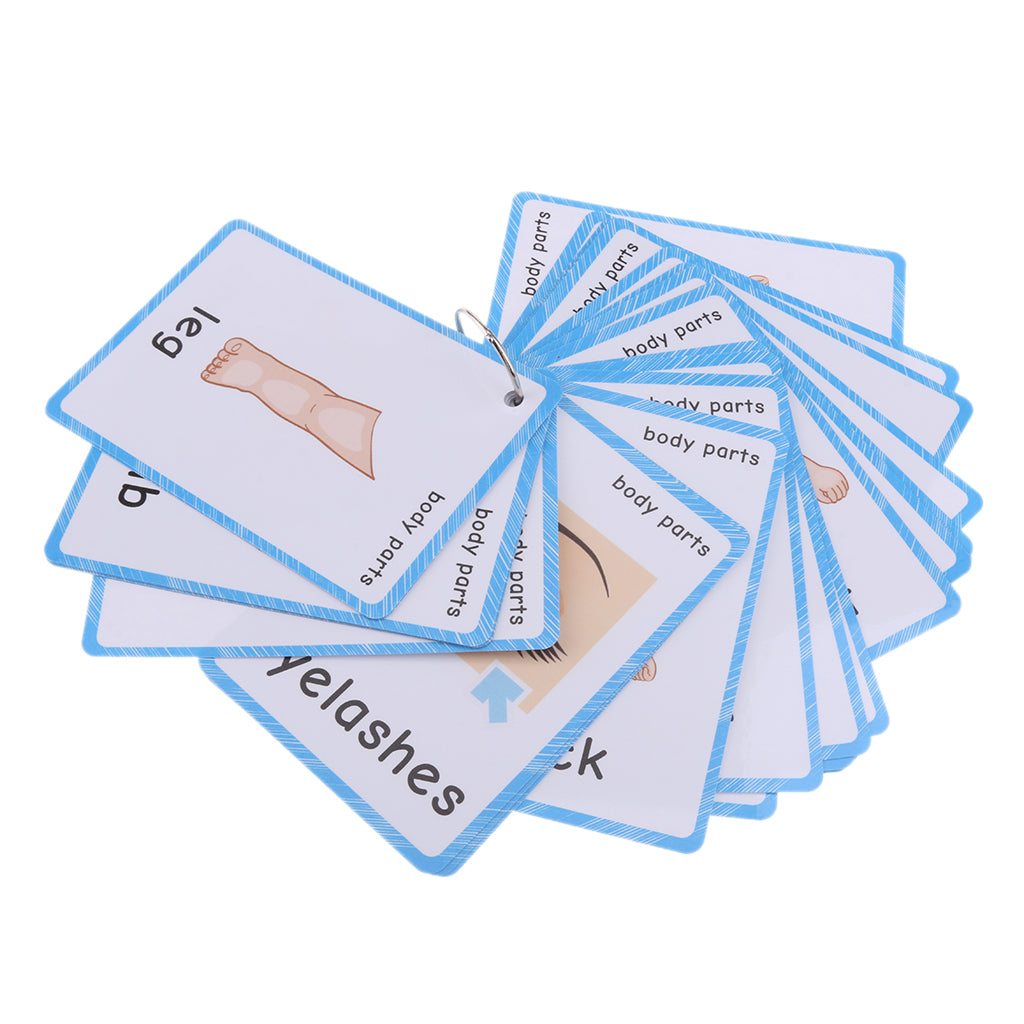 Preschool Educational Flash Cards Body Parts - 36 Pieces