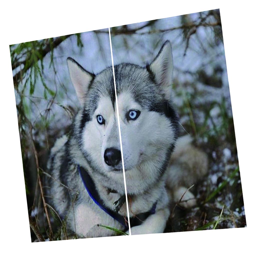 2 Panel Set Digital Printing Curtains 3D Animals Wolf-75x166cm