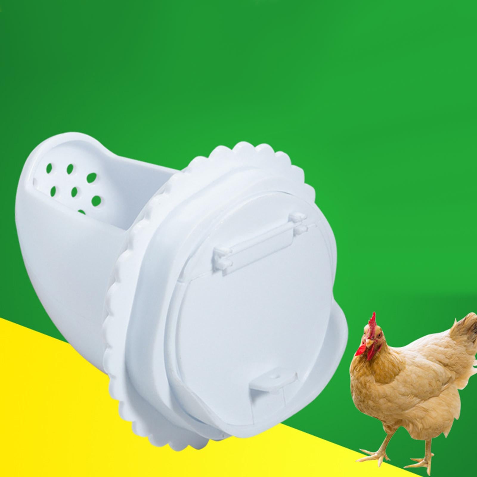 Poultry Feeder 12 L Sturdy Automatic Chicken Feeder for Pigeon Canary Parrot