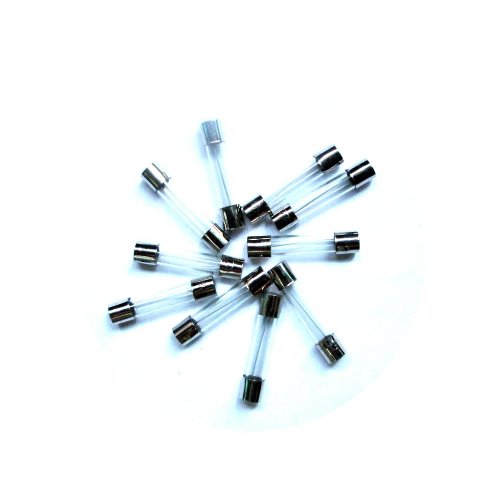 10 Pieces 6mm x 30mm Fast Blow Glass Tube Fuses 20A 250V