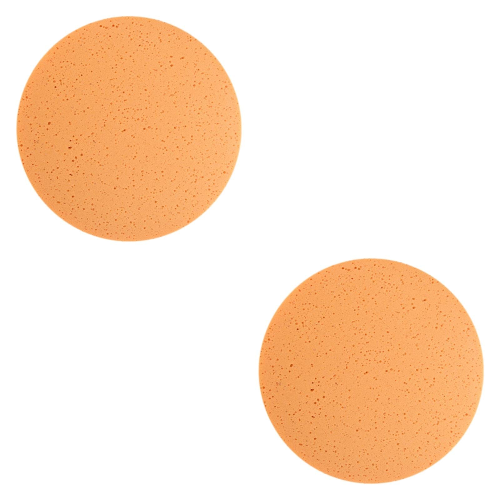 2 Pieces Drywall Sander Pads Direct Replaces Spare Parts Premium Accessories Sponge
