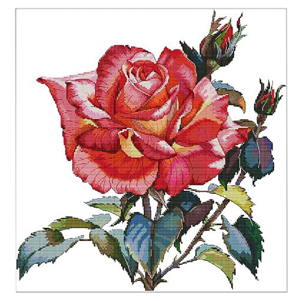 Rose Flower Cross Stitch Kit DIY Handmade Needlework Counted 14CT 43x44cm