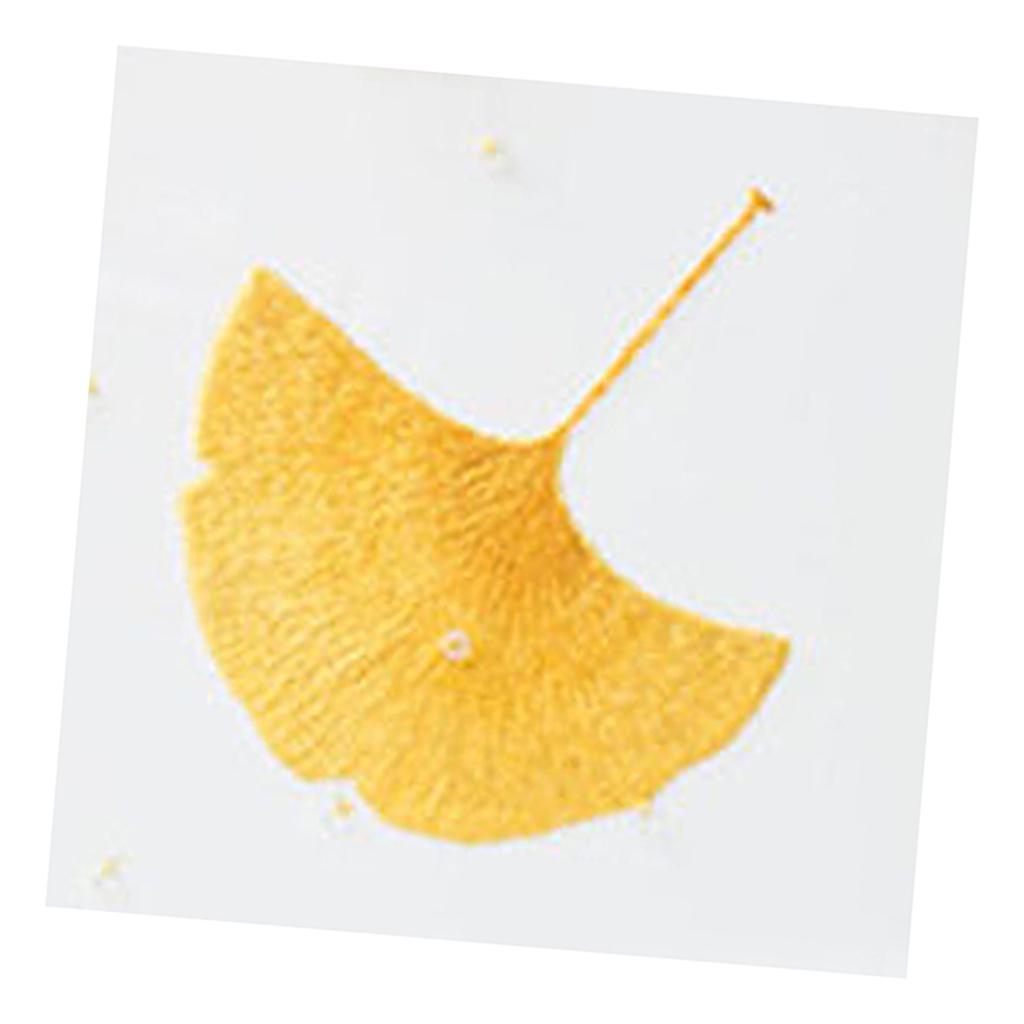Handmade Embroidery Starter Kit with Pre-printed Pattern Ginkgo