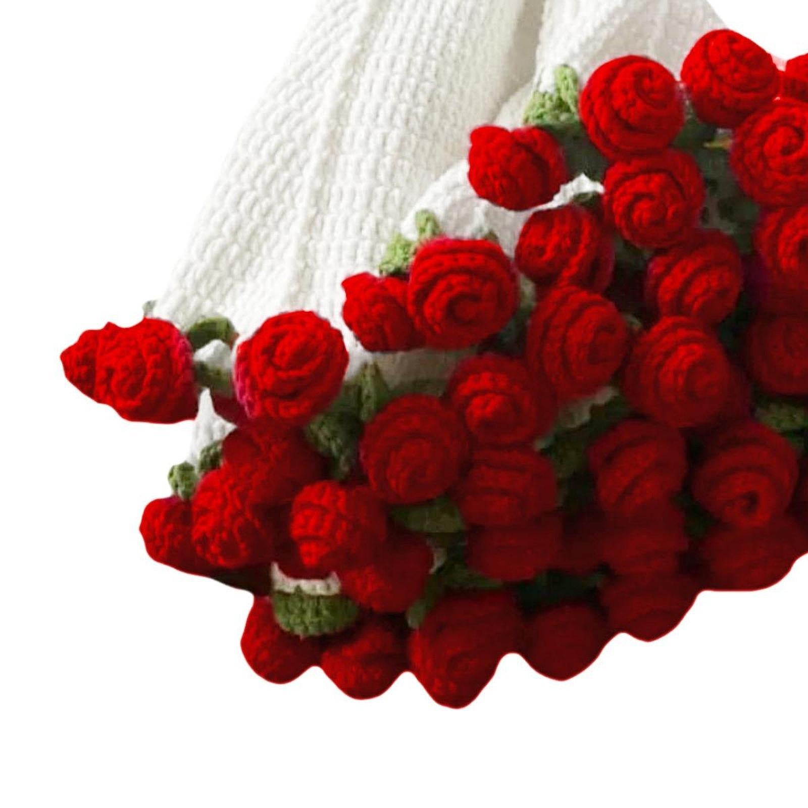 Crochet Kit for Beginners Blanket Crochet Kit for Teacher’ Day Wedding Women Red