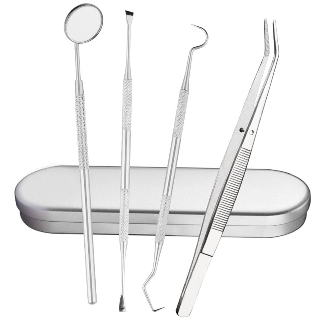 Dental Instrument Details Cleaner Oral Care Stainless Steel 6 pieces