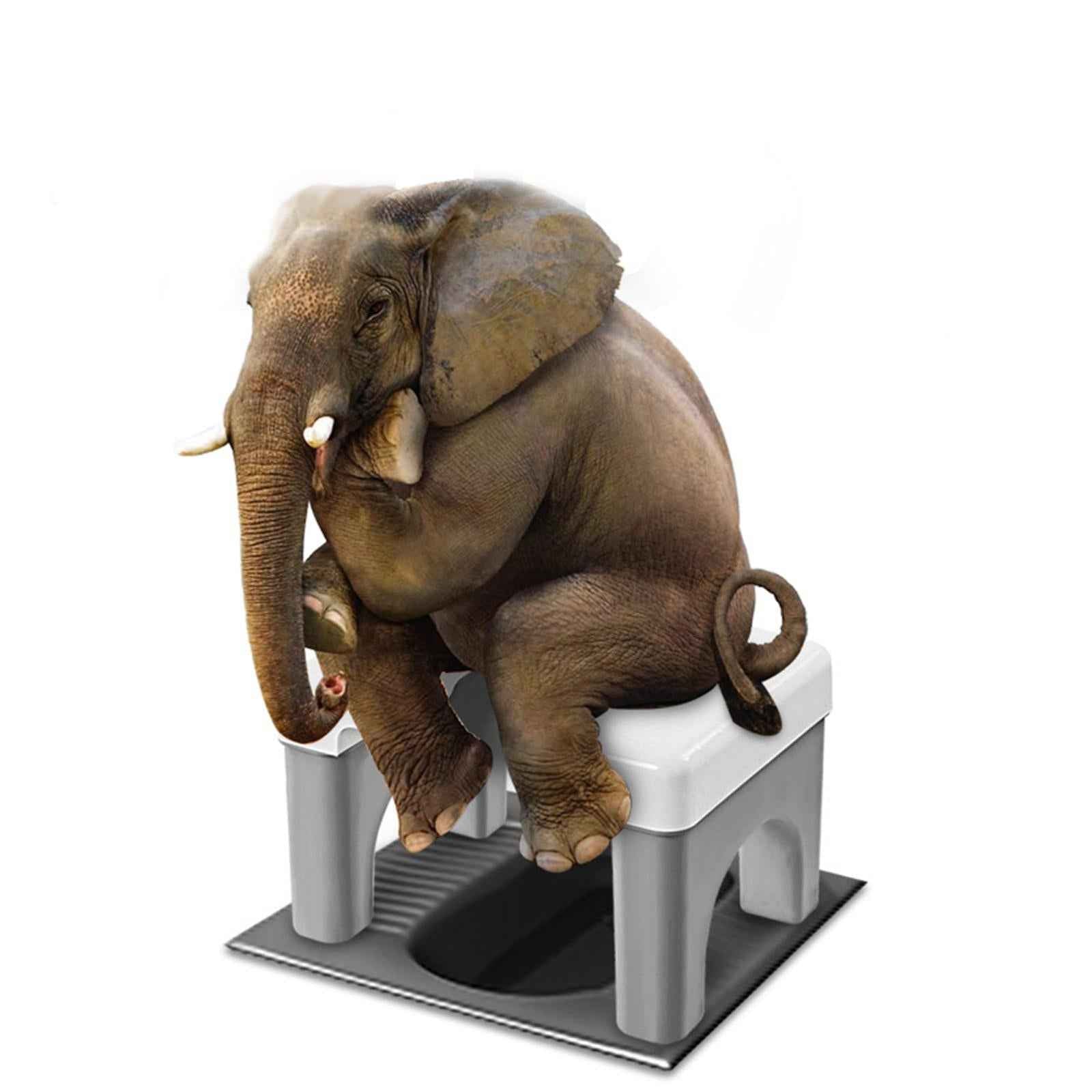 Non Slip Squatting Toilet Stool Chair Wide Panel for Bathroom Adults Gray