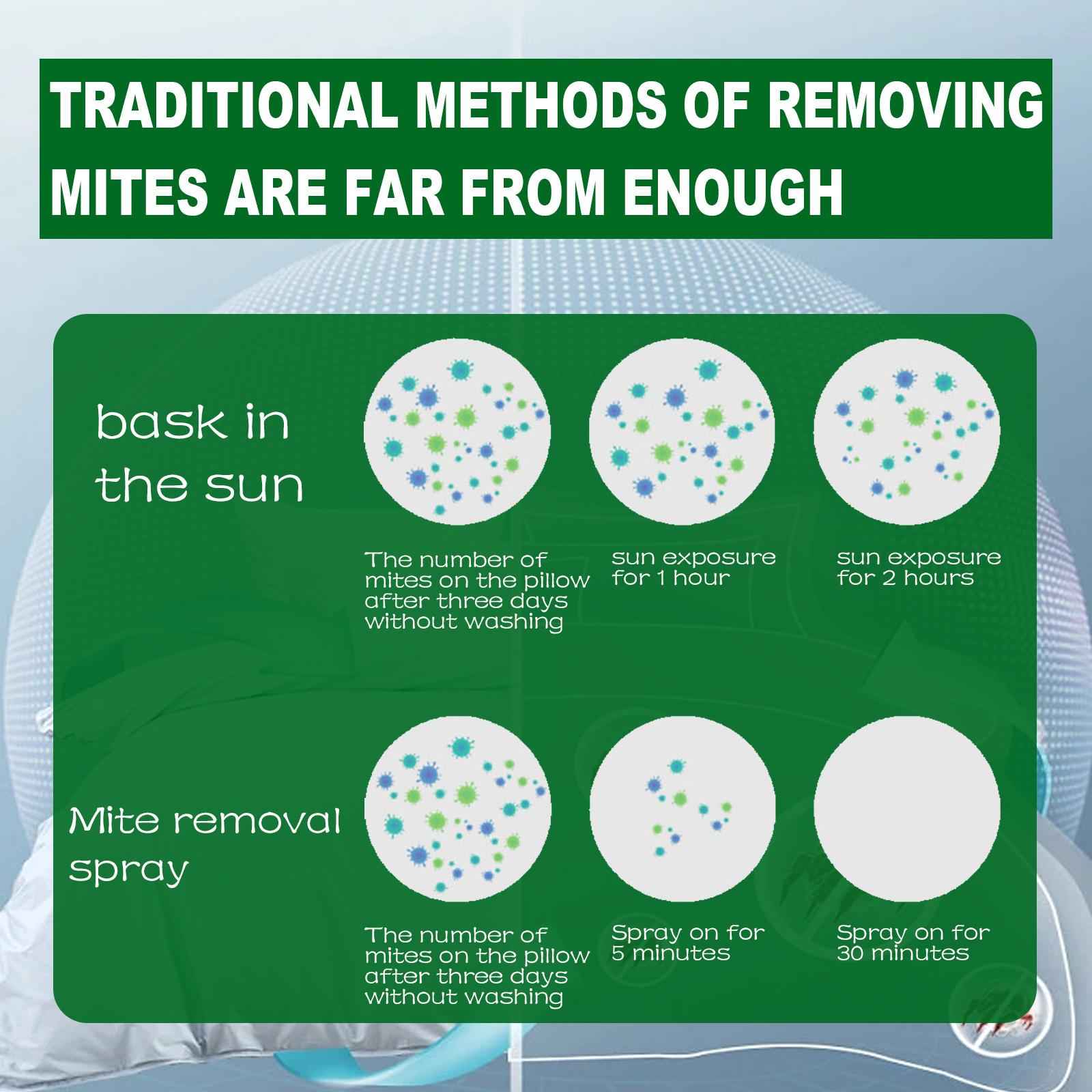 Mite Killer Spray Bed Bug and Dust Mite Spray Indoor Clean for Mattresses