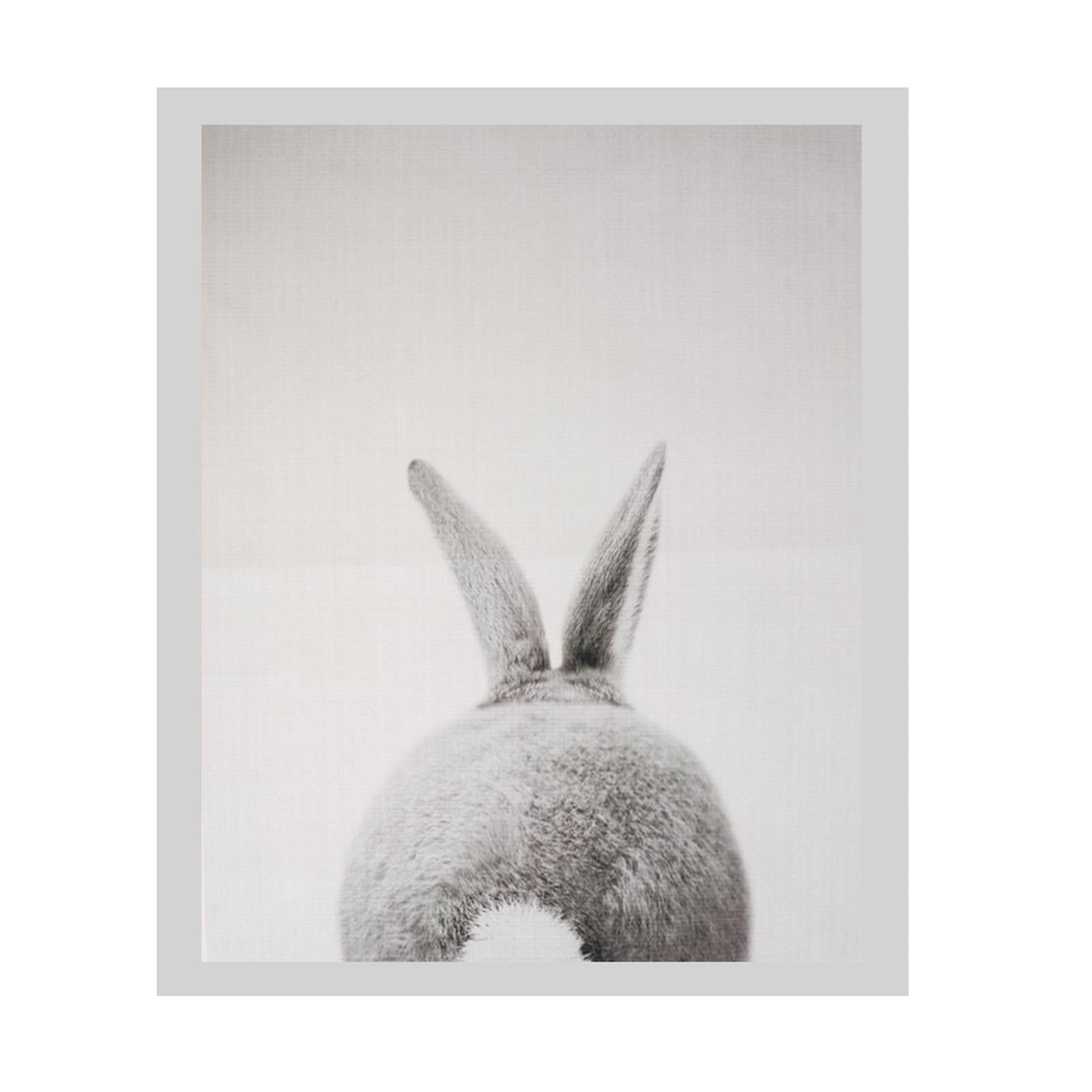2Pcs Modern Art Oil Painting Canvas Picture Cute Rabbit Wall Decor 30x40cm