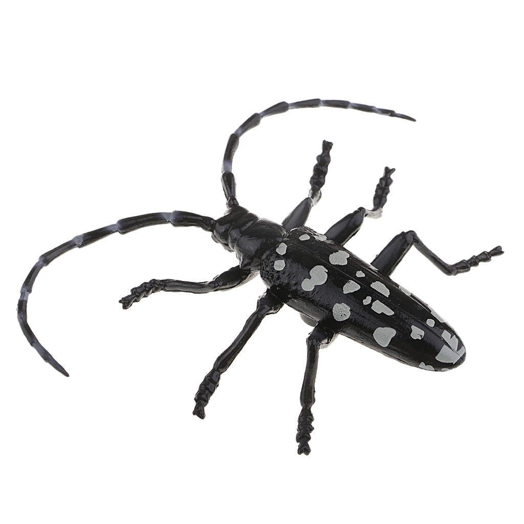 Animal Toys Educational Resource High Simulation Reallistic Insects Figure F