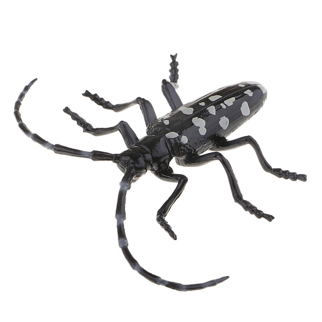 Animal Toys Educational Resource High Simulation Reallistic Insects Figure F