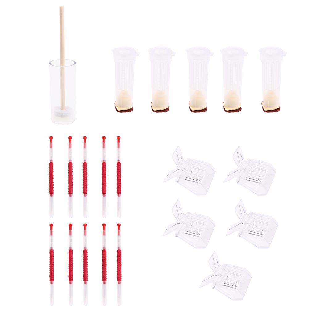 Beekeeping Tools Kit Bee Catcher Rearing Cage Grafting Tool Marking Cage