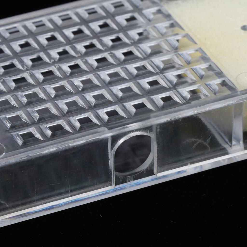 Queen Bee Cage Box / Bee Catcher / Cage for Transporting Bee - 20 Pieces