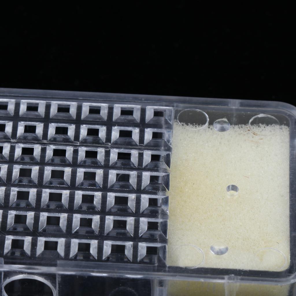 Queen Bee Cage Box / Bee Catcher / Cage for Transporting Bee - 20 Pieces