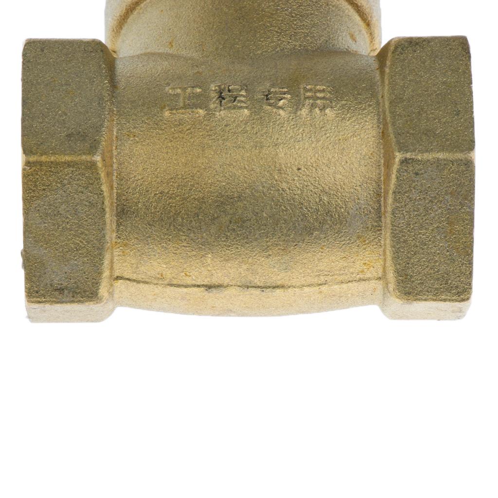 Horizontal Female Thread Brass Single Way Check Valve DN25-1 inch