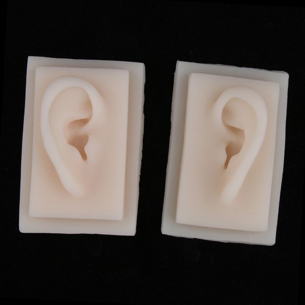 1 Pair Life-Size Silicone Human Acupuncture Ear Display Model Study