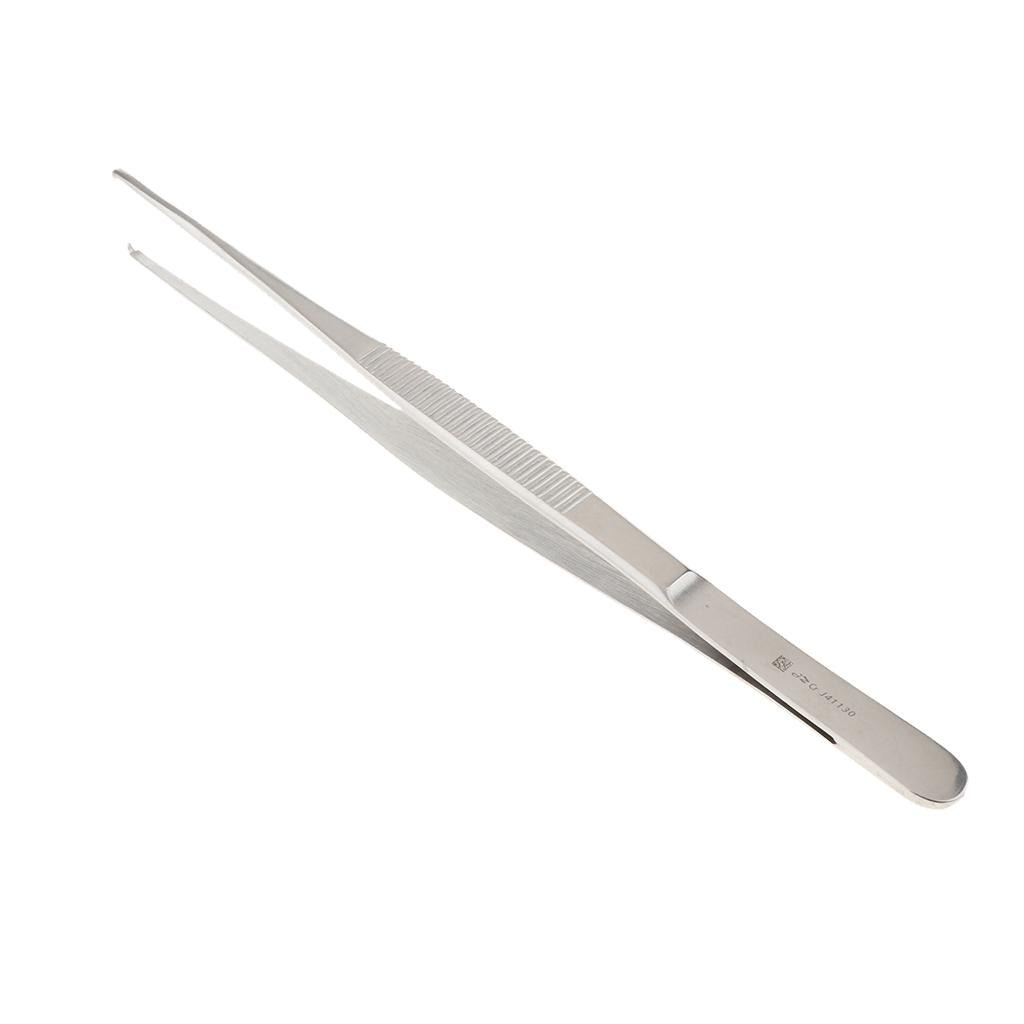 Long Stainless Steel Straight Tweezers for Detailed Work 25cm Length B