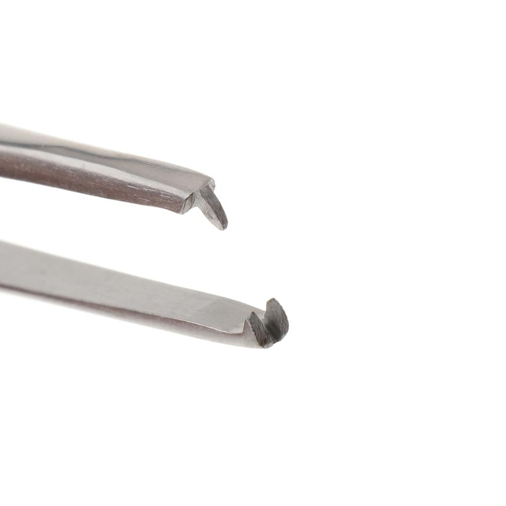 Long Stainless Steel Straight Tweezers for Detailed Work 25cm Length B