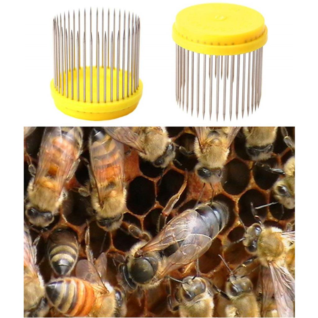 Beekeeping Queen Needle Type Bee Cage Catching Catcher Equipment Tools