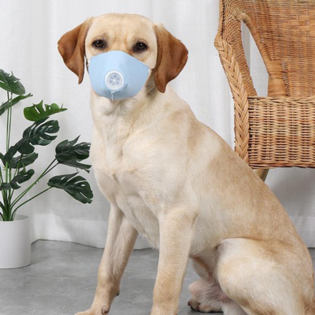 Pet Dog Face Mouth Dust Mask Mouthcover Pet Anti-fog Muzzle w/ Strap Blue L