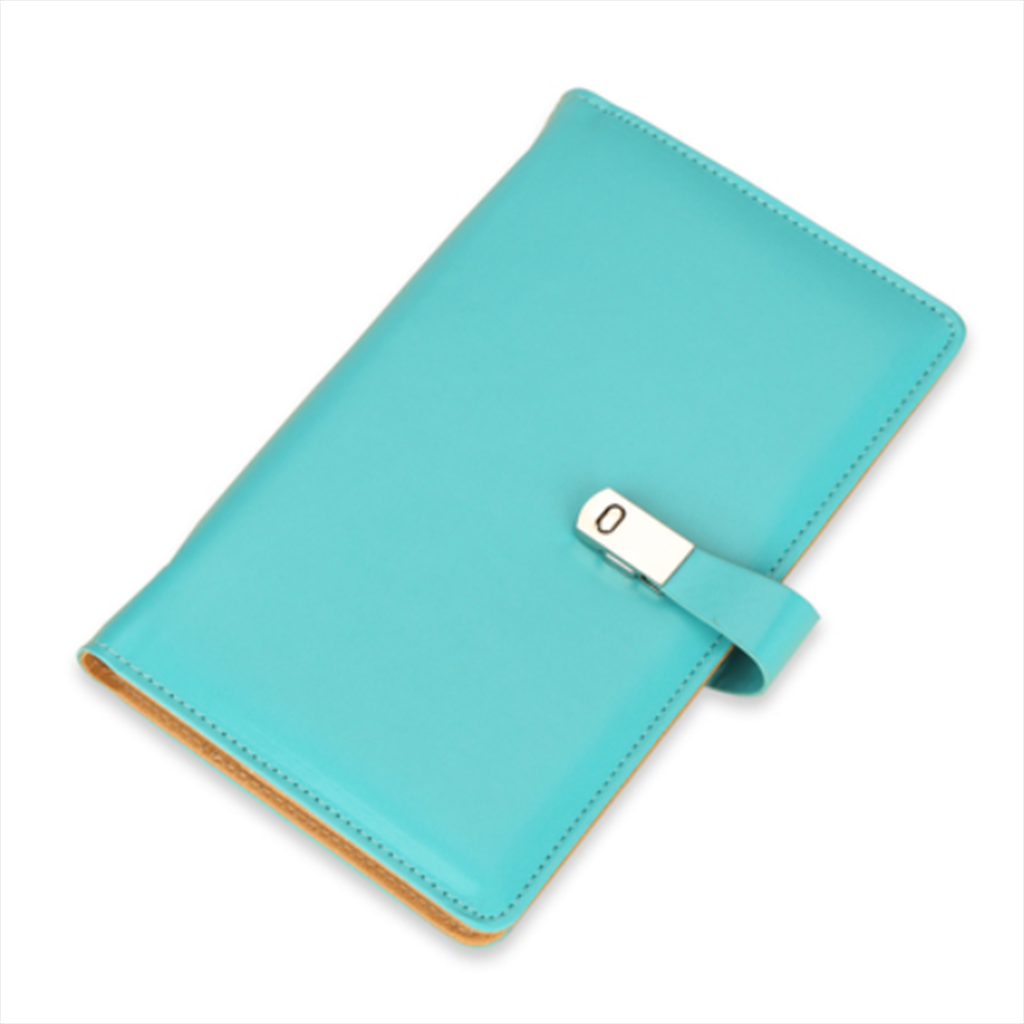 Leather Card Holder Large Capacity 120 Name Cards Ticket Storage Light Blue