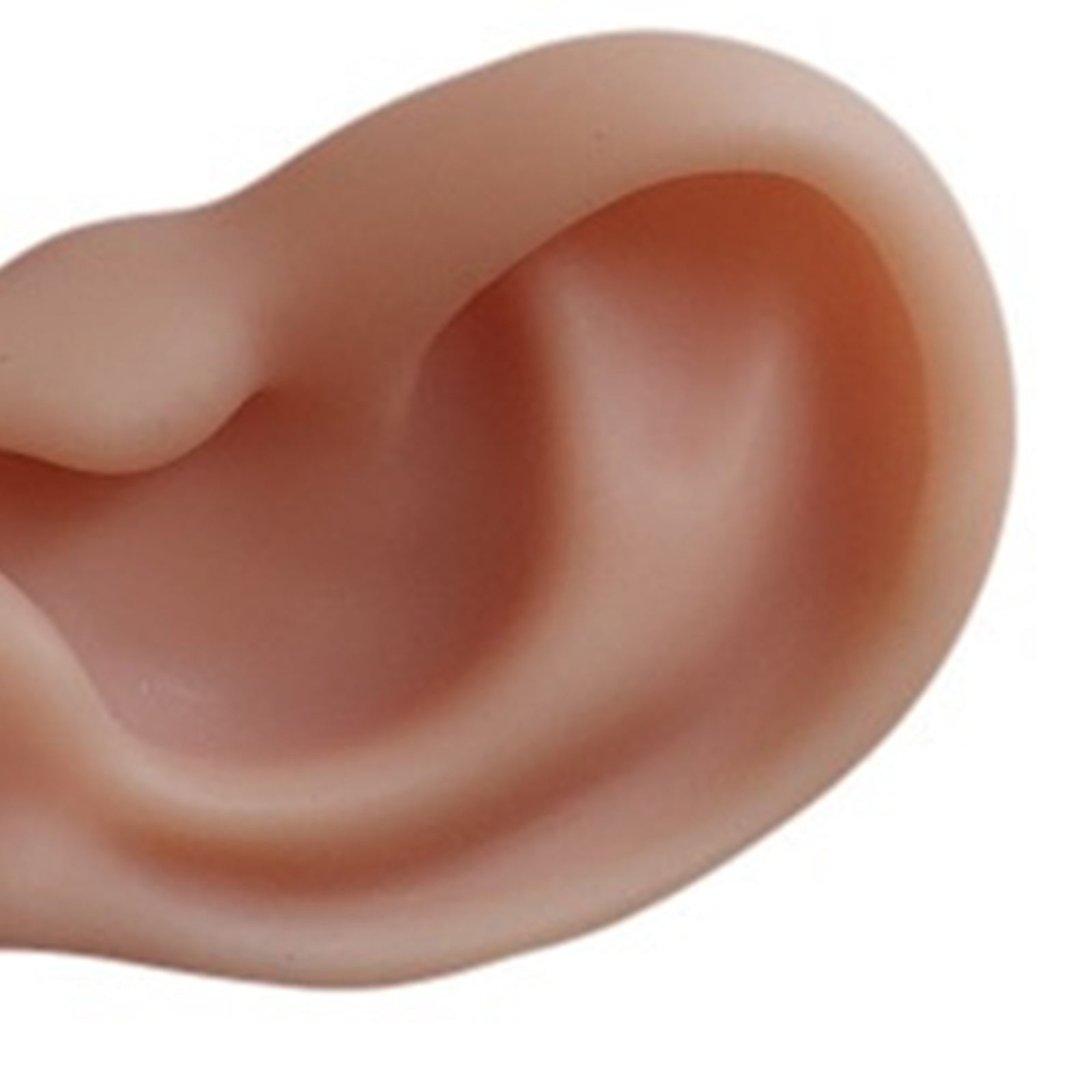 Ear Model Silicone Right and Left for Practicing Suturing Tool Learning