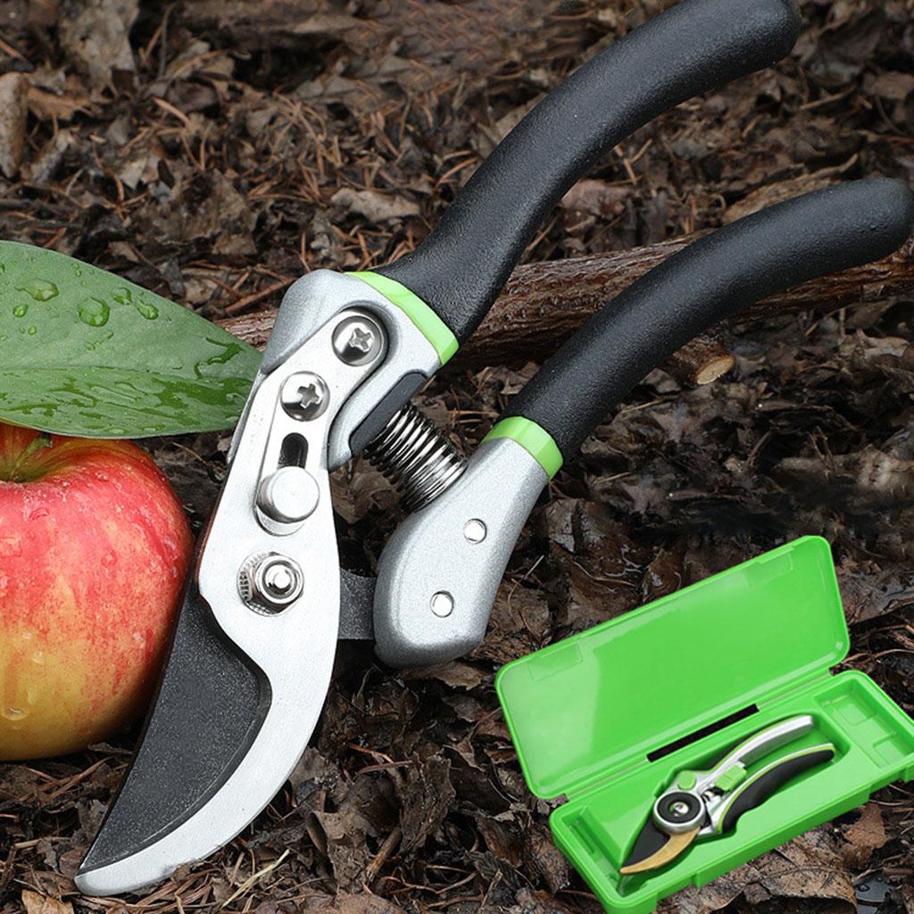 Professional Garden Pruning Shears Scissors Trim for Gardening Branches SK5 Storage Box