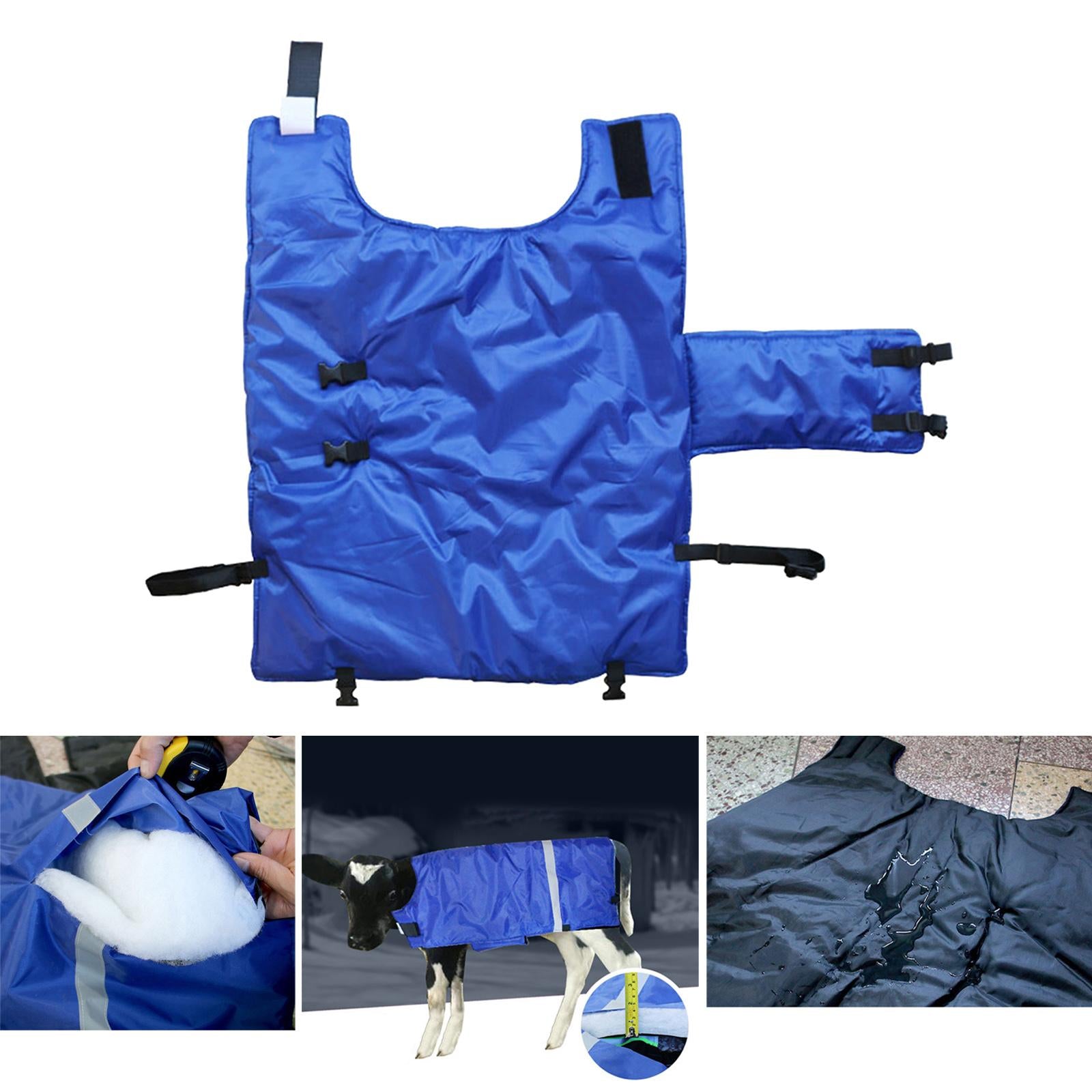 Cow Calf Coat Cotton-Padded with Belly Band Clothing for Keep Warm Farmhouse Blue Thicken