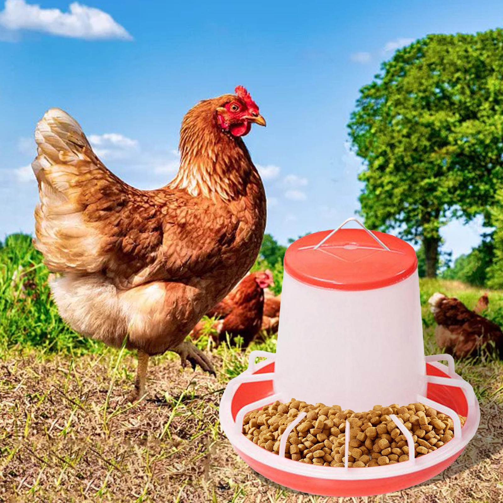 5Pcs Chicken Drinker Feeder Food Dispenser for Backyard Poultry Supplies