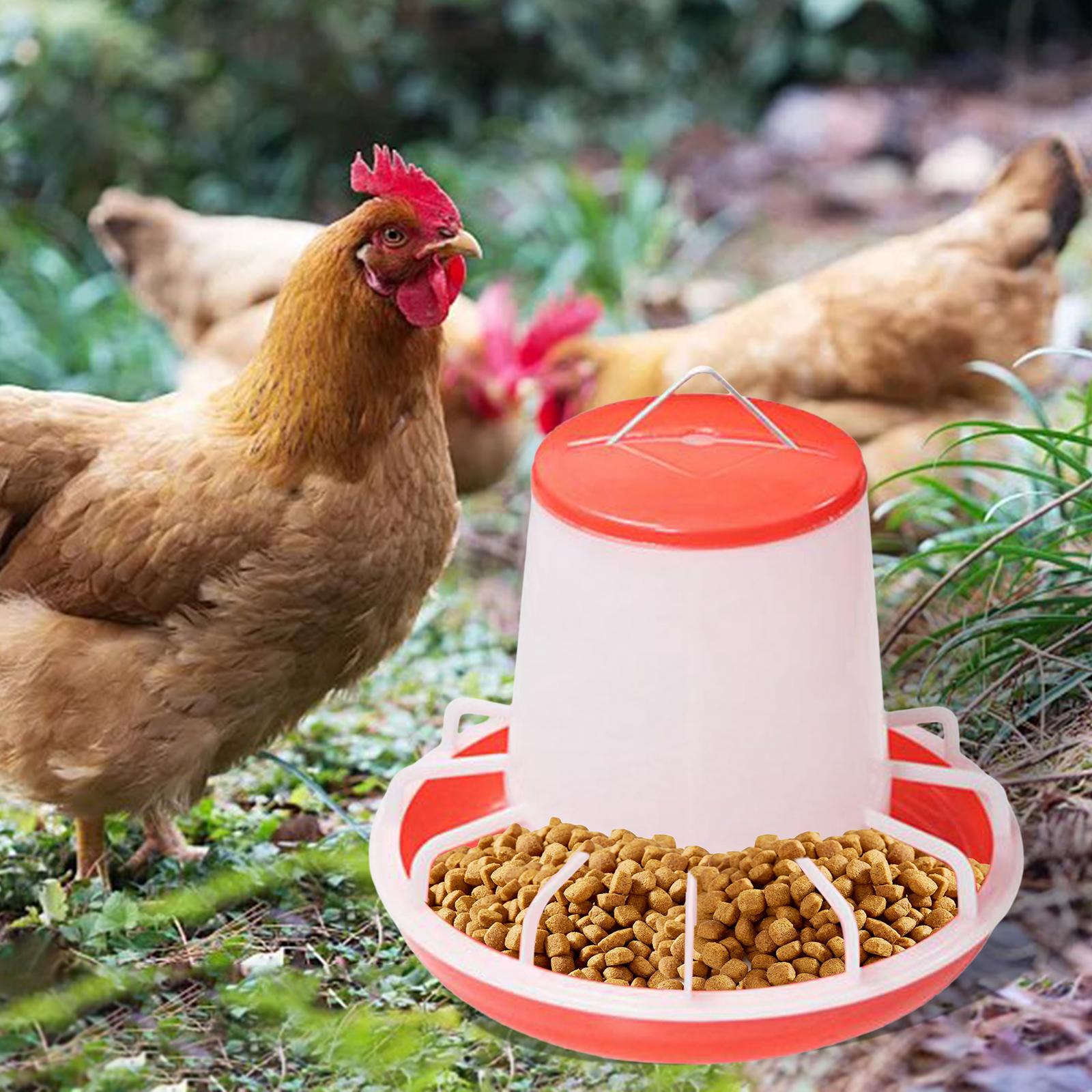 5Pcs Chicken Drinker Feeder Food Dispenser for Backyard Poultry Supplies
