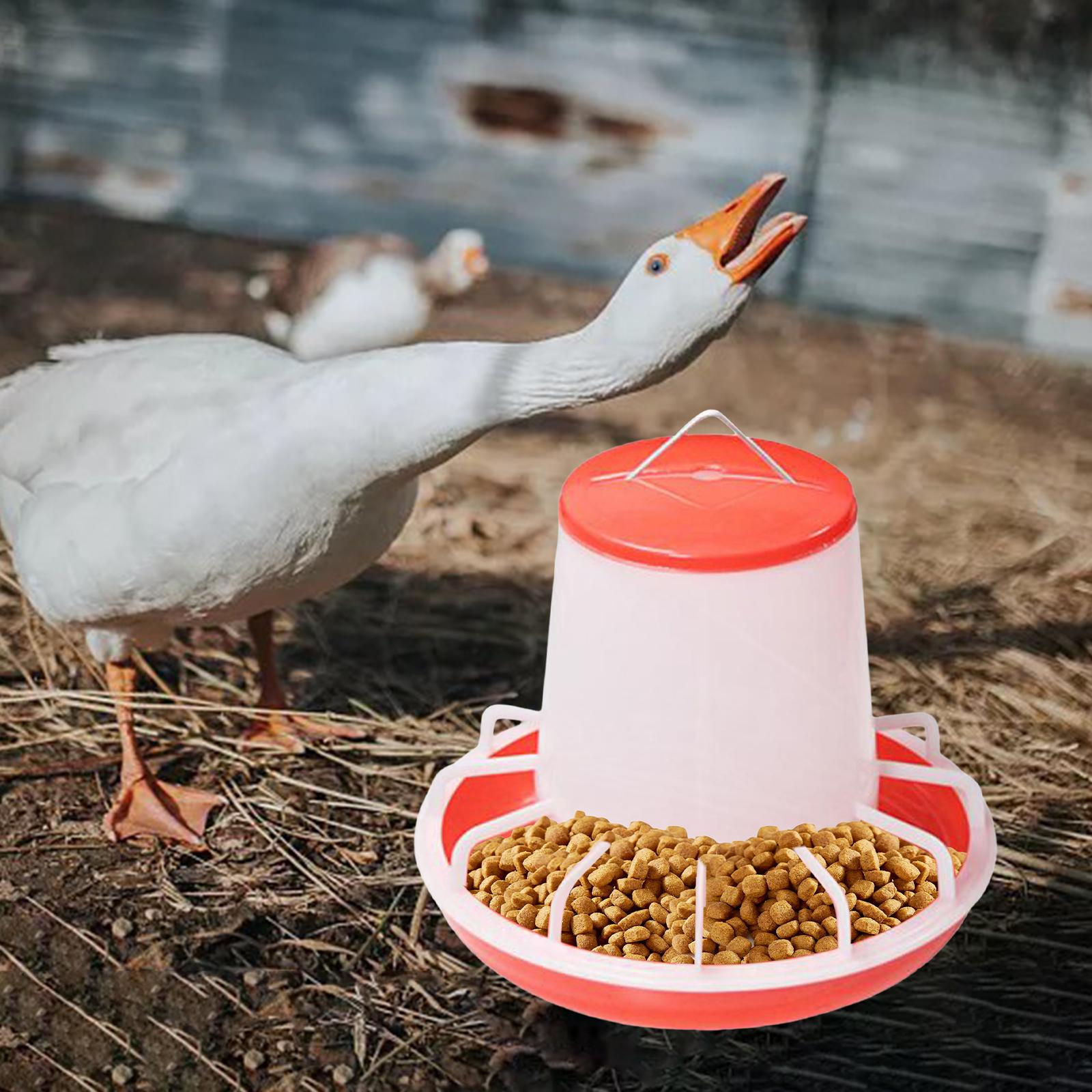 5Pcs Chicken Drinker Feeder Food Dispenser for Backyard Poultry Supplies