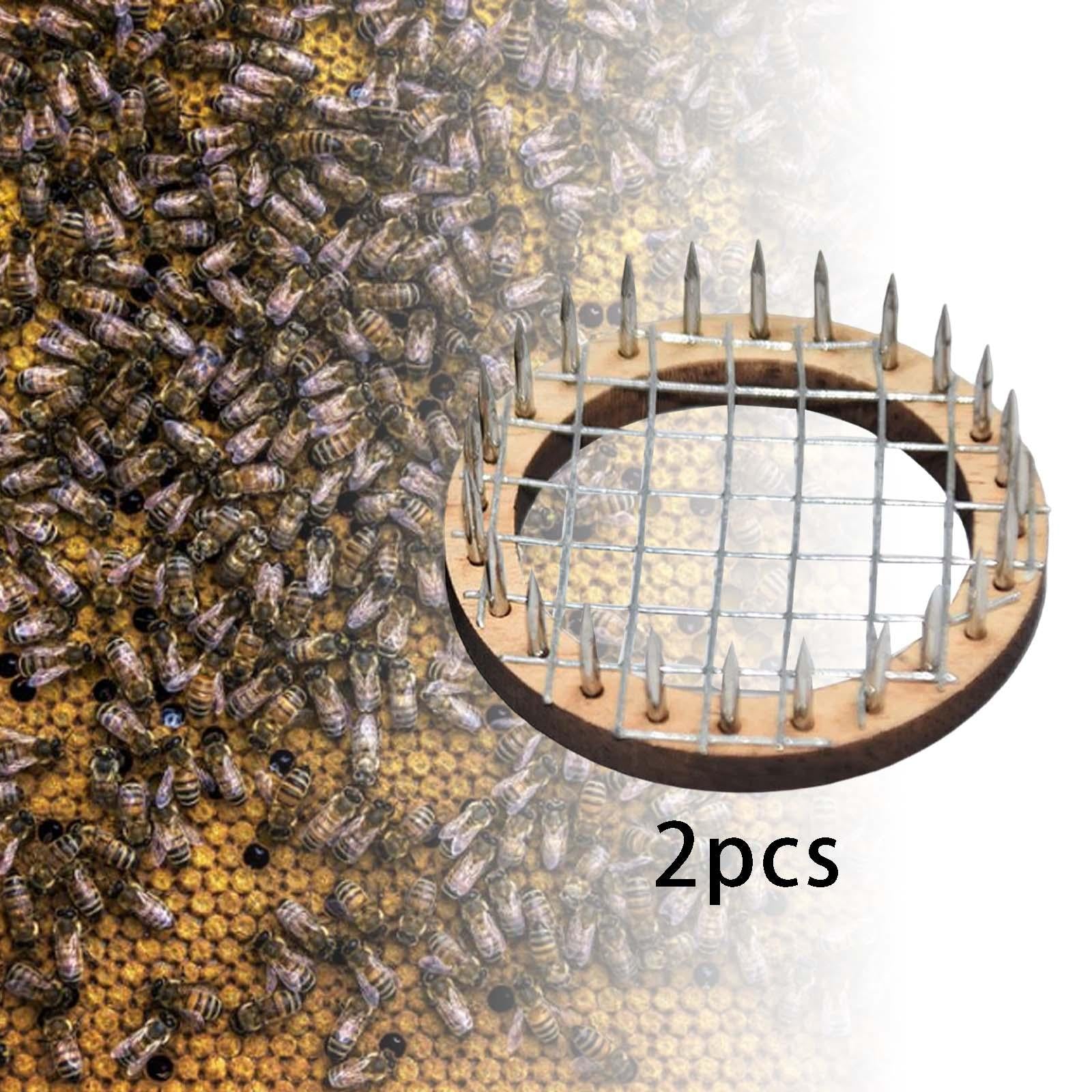 Beekeeping Rearing Beekeeping Tools Wooden Cages Beekeeping Kit Queen Needle short