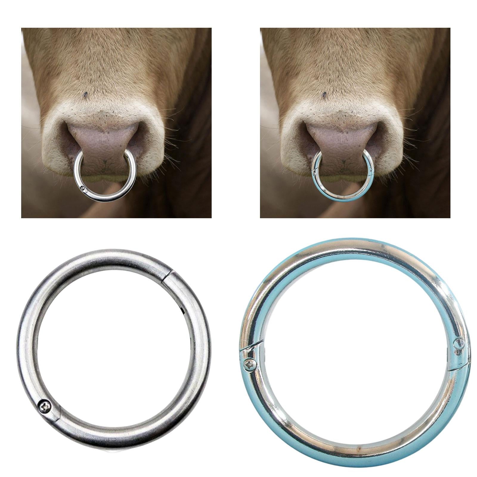 Multifunction Cattle Nose Ring Durable Nose Circle Easy to Use for Supplies L