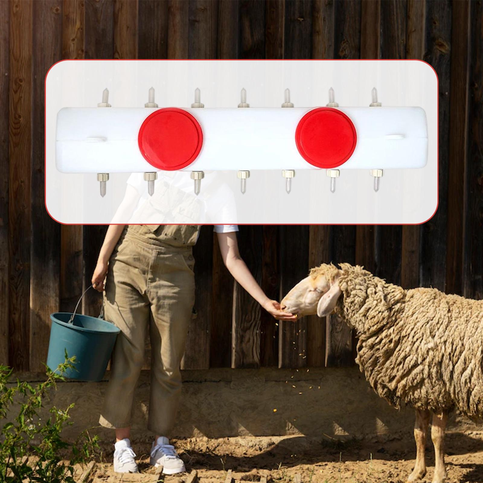 Farm Feeder Pet Nursing Station Silicone for Sheep Small Newborn Pets Rabbit