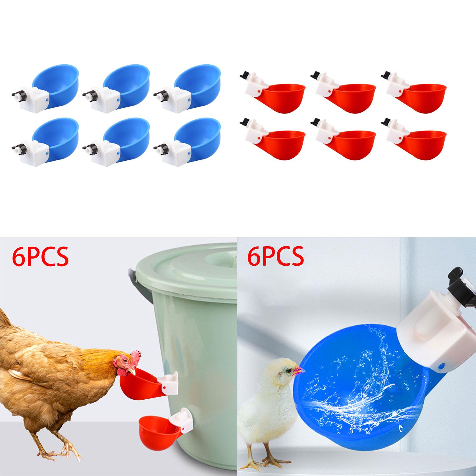 6Pcs Chicken Feeders Chicken Watering Cup Chicken Waterer for Birds Quail Red