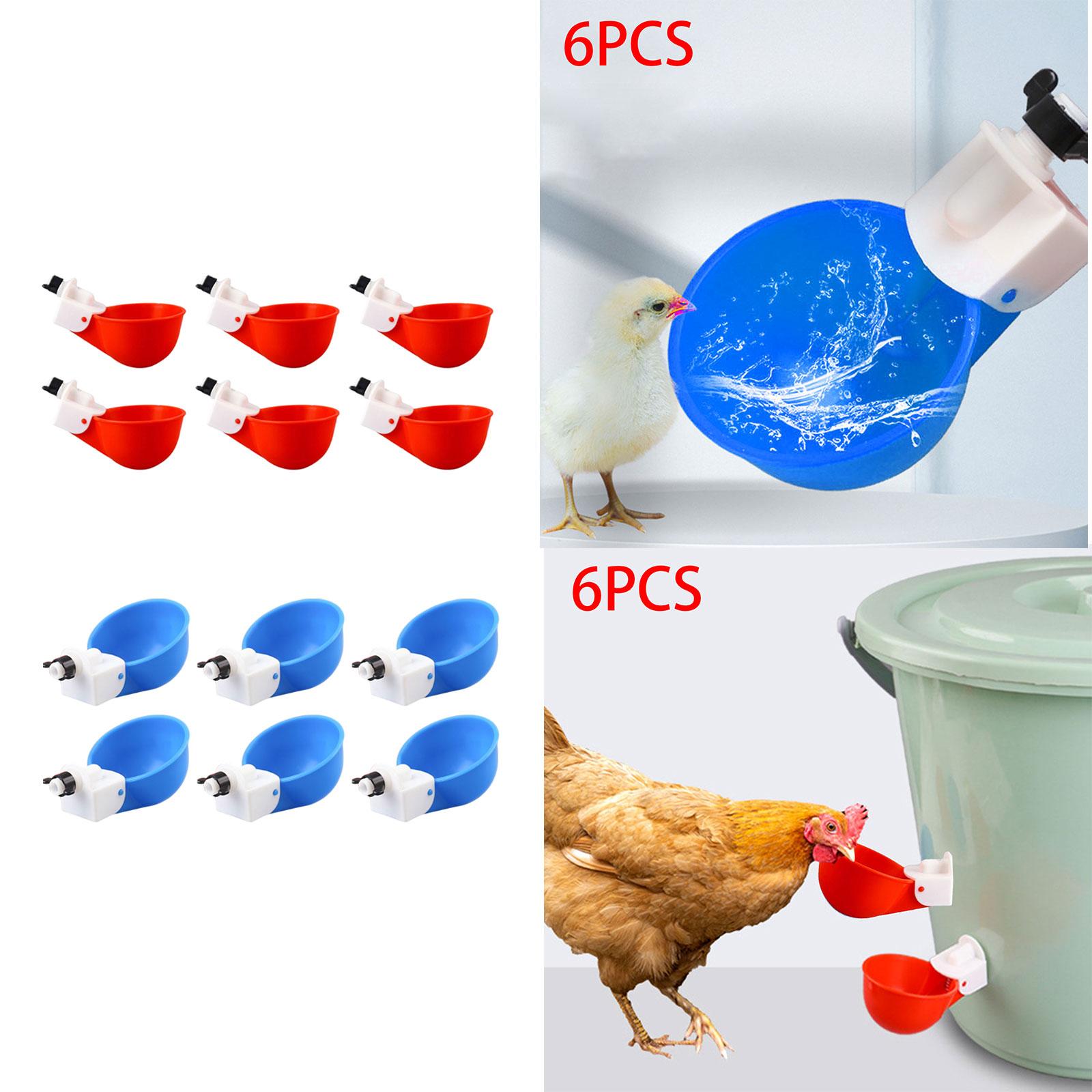 6Pcs Chicken Feeders Chicken Watering Cup Chicken Waterer for Birds Quail Red