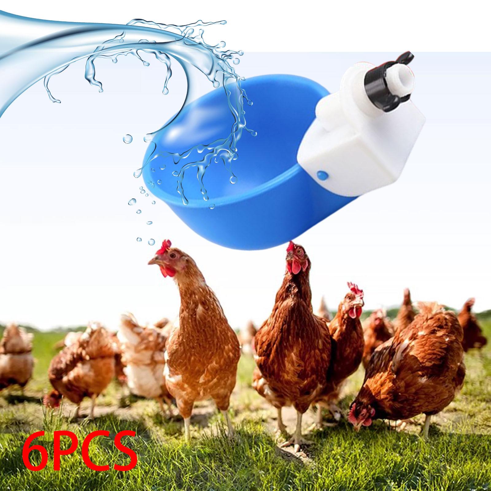6Pcs Chicken Feeders Chicken Watering Cup Chicken Waterer for Birds Quail Blue