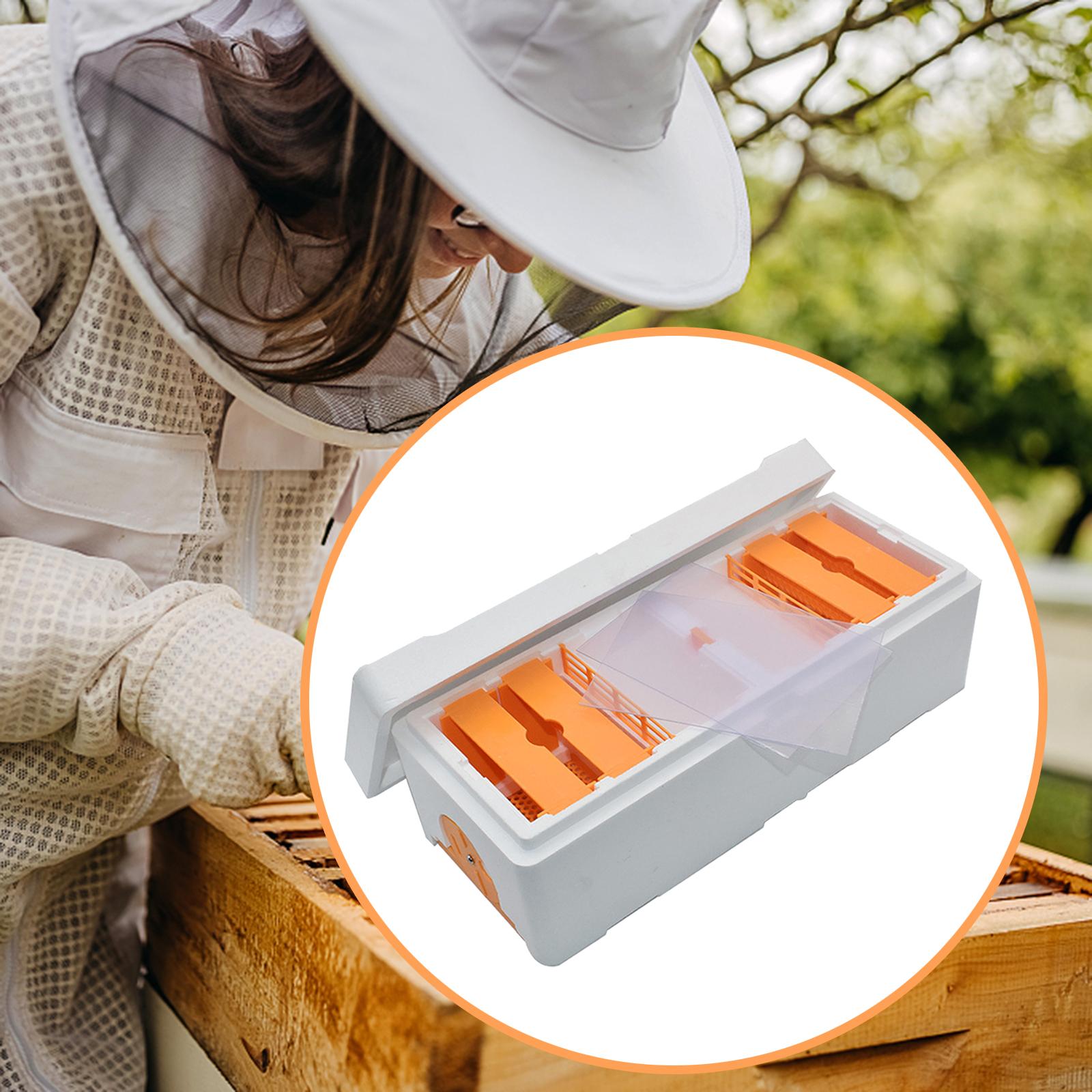 Foam Bee Mating Box Beekeeping Box Portable for outdoor Beekeeper Supplies