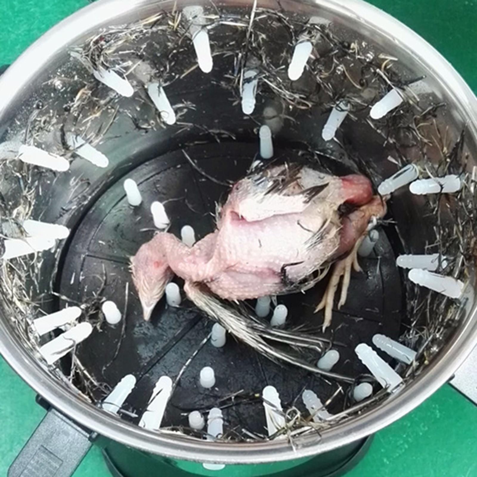 Electric Plucking Machine UK Plug Accessories Chicken Plucker for Duck