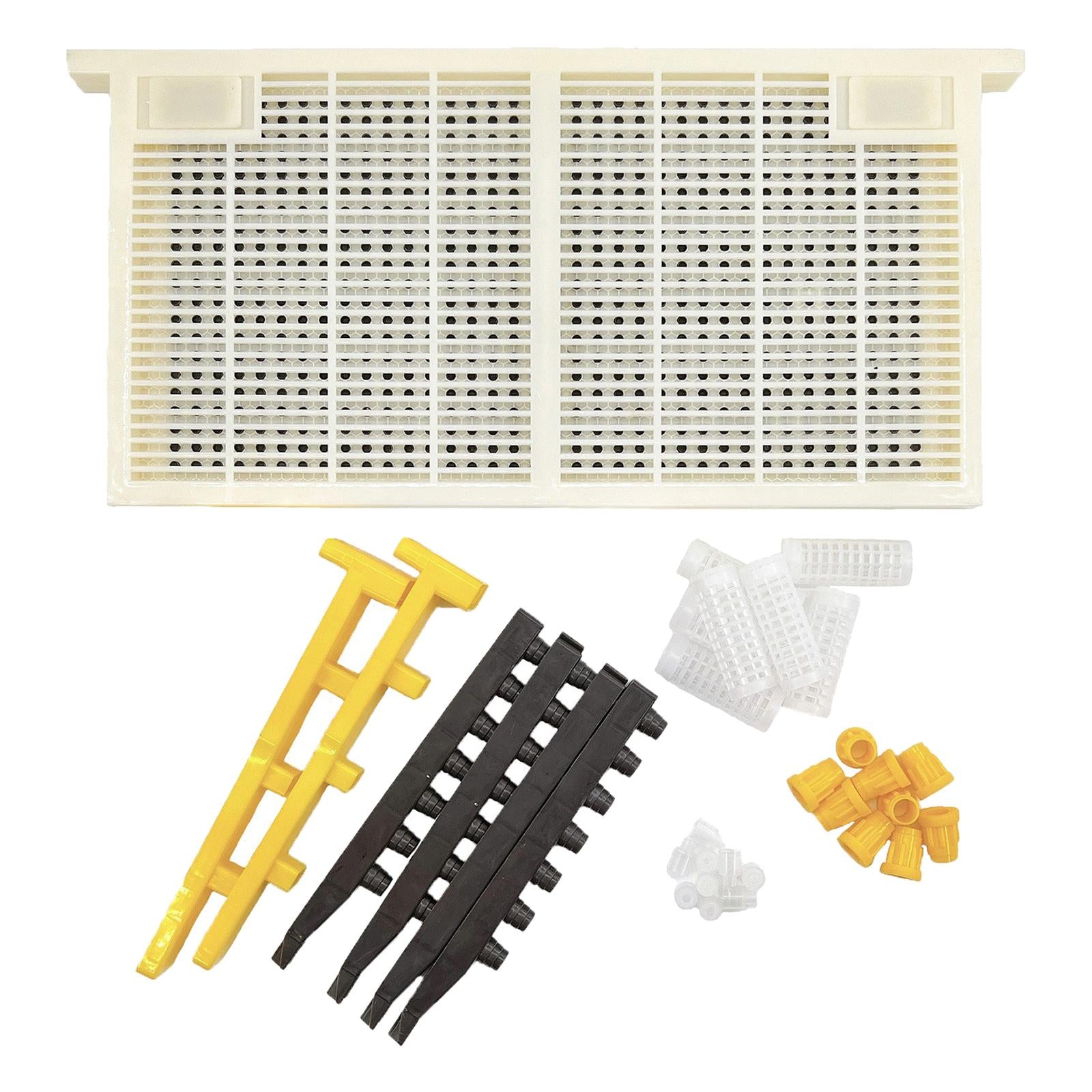 Beekeeping Queen Bee Set Beekeeping Supplies Cage Bees Tools for Agriculture
