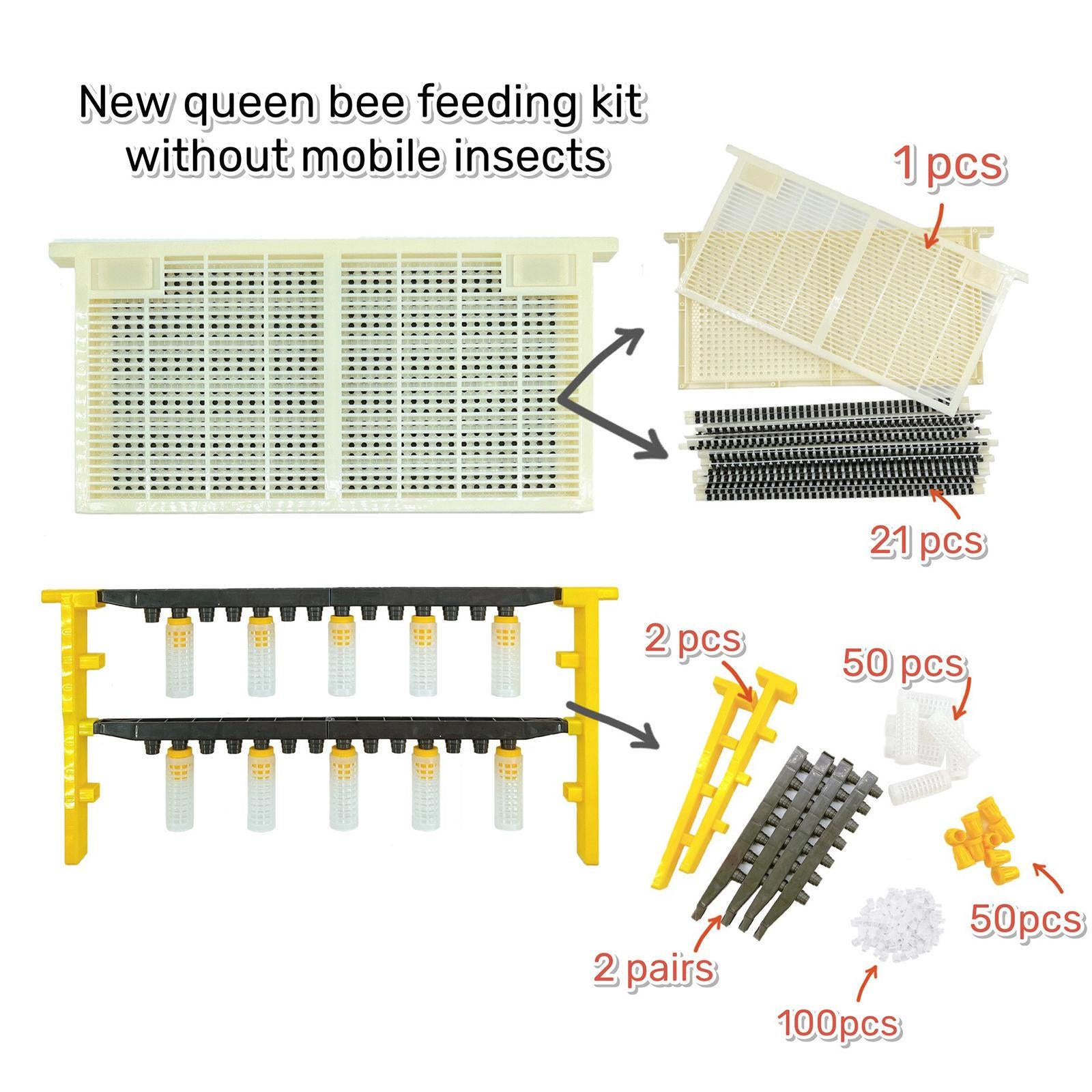 Beekeeping Queen Bee Set Beekeeping Supplies Cage Bees Tools for Agriculture