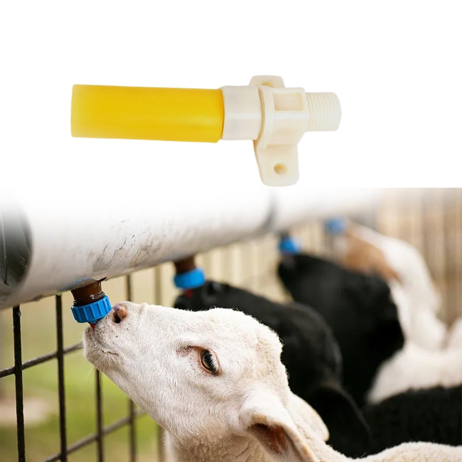 Automatic Waterer Bowl Valve Feeder Supplies 1Pcs for dogs farm Animal Piglet
