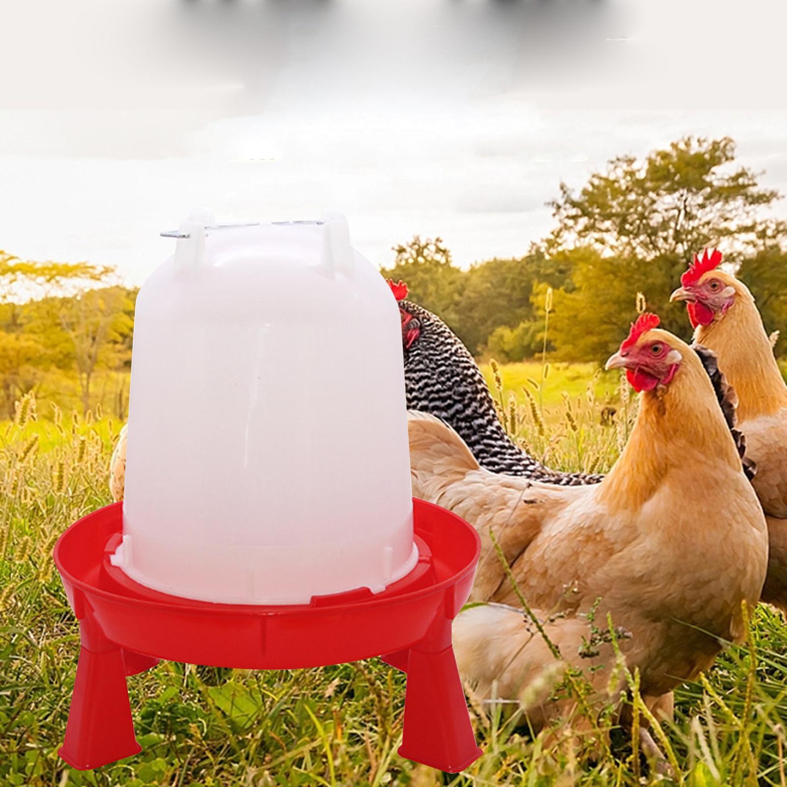 Chick Waterer Stable Food Trough Portable Pigeon Waterer for Animal Hen Coop