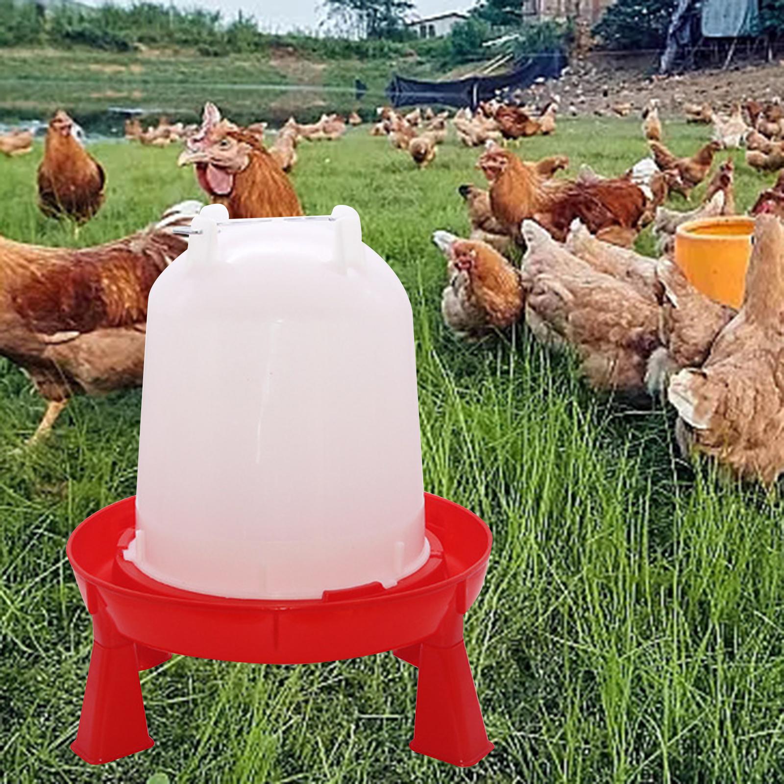 Chick Waterer Stable Food Trough Portable Pigeon Waterer for Animal Hen Coop