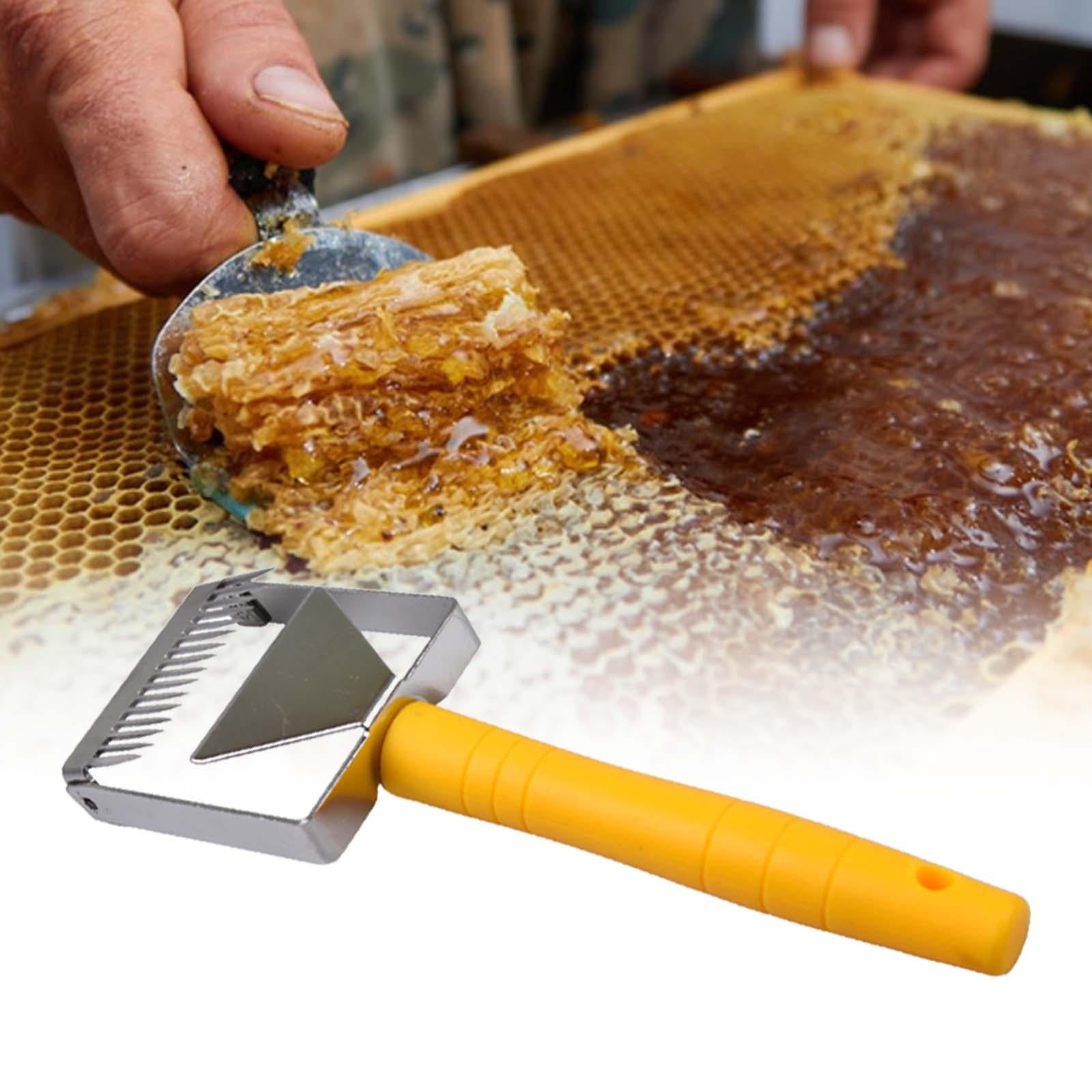 Hive Scraper Tool for Equipment Tool Bee Hive Extractor Beekeeping Hook