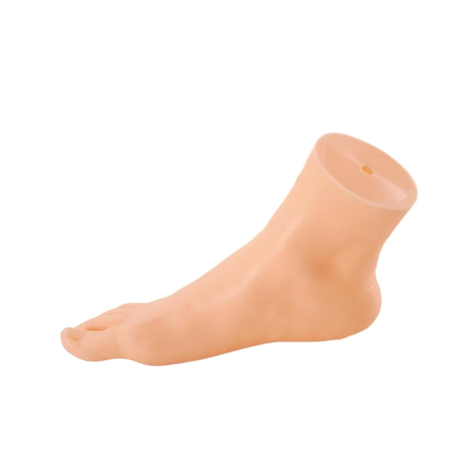 Mannequin Foot Display Durable Lightweight Foot Model for Shop Retail Chains Female Right Foot