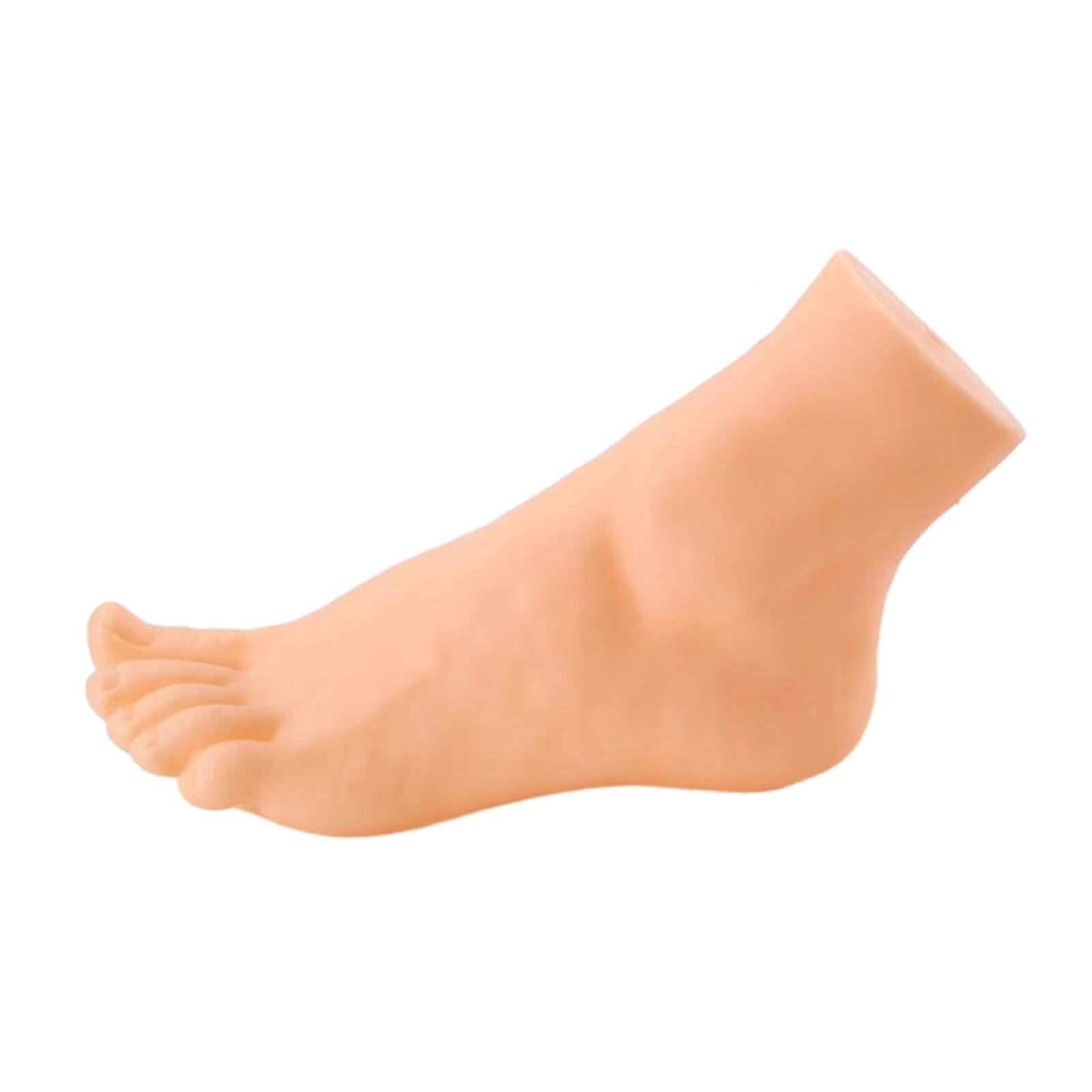 Mannequin Foot Display Durable Lightweight Foot Model for Shop Retail Chains Male Left Foot