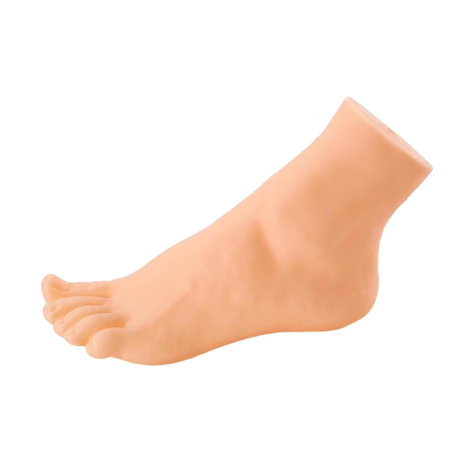 Mannequin Foot Display Durable Lightweight Foot Model for Shop Retail Chains Male Left Foot